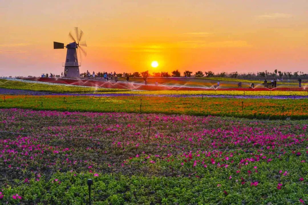 合肥再添5家3A级旅游景区！