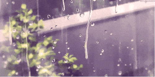 直逼40℃！刚刚，合肥官宣出梅