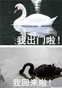 直逼40℃！刚刚，合肥官宣出梅