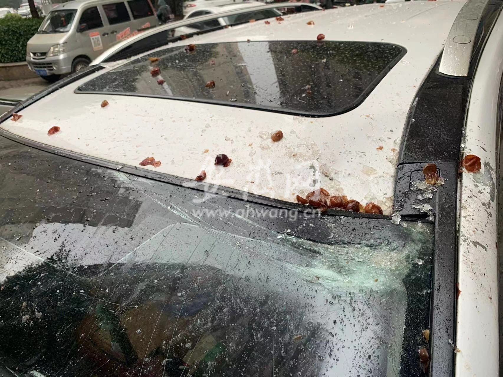 合肥一女子从小区28楼高空抛物砸中两轿车 家属:肇事者有抑郁症